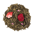 PARADIS FRUITE