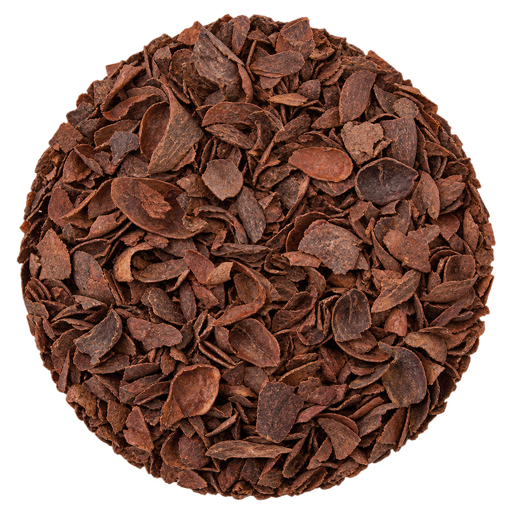 Illustration ronde de cosses de cacao seules sur fond transparent