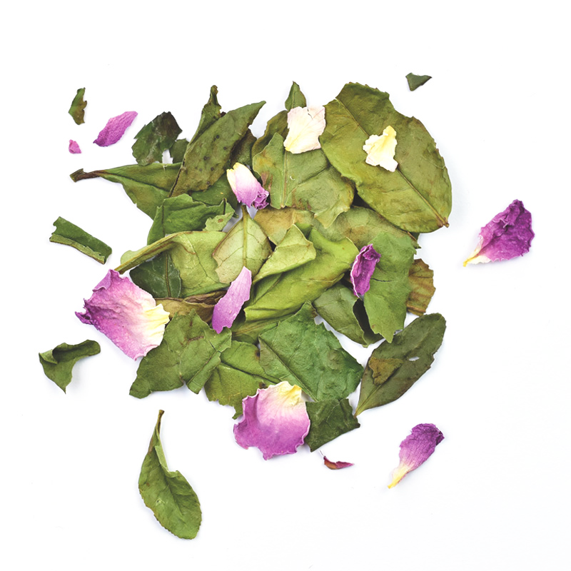 REINE DE DAMAS Biologique